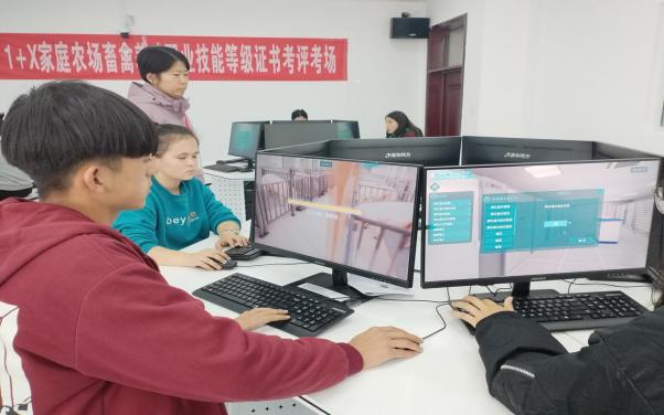 lQDPJv_xS9nXn3TNDADNEACww7Yw5vXtXWIFP6acopplAA_4096_3072