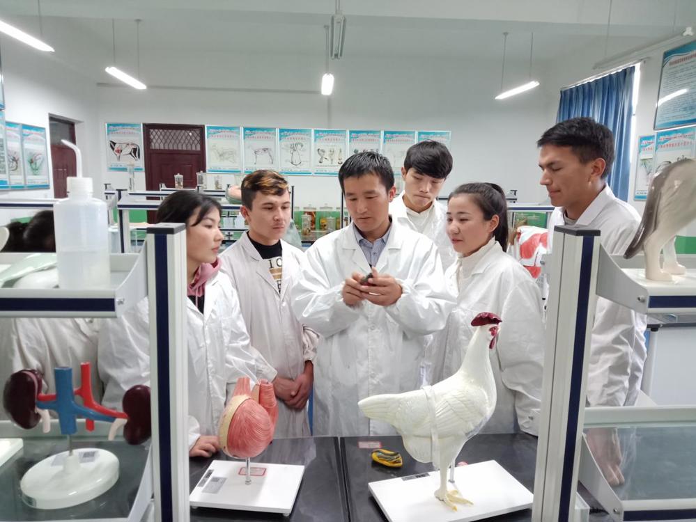 讲解鸡的解剖特点2