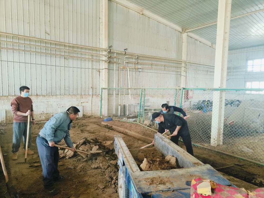 微信图片_20250310121527