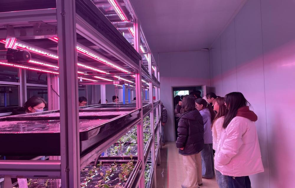 80d384c94b0f8b0a434601747c8d92e9