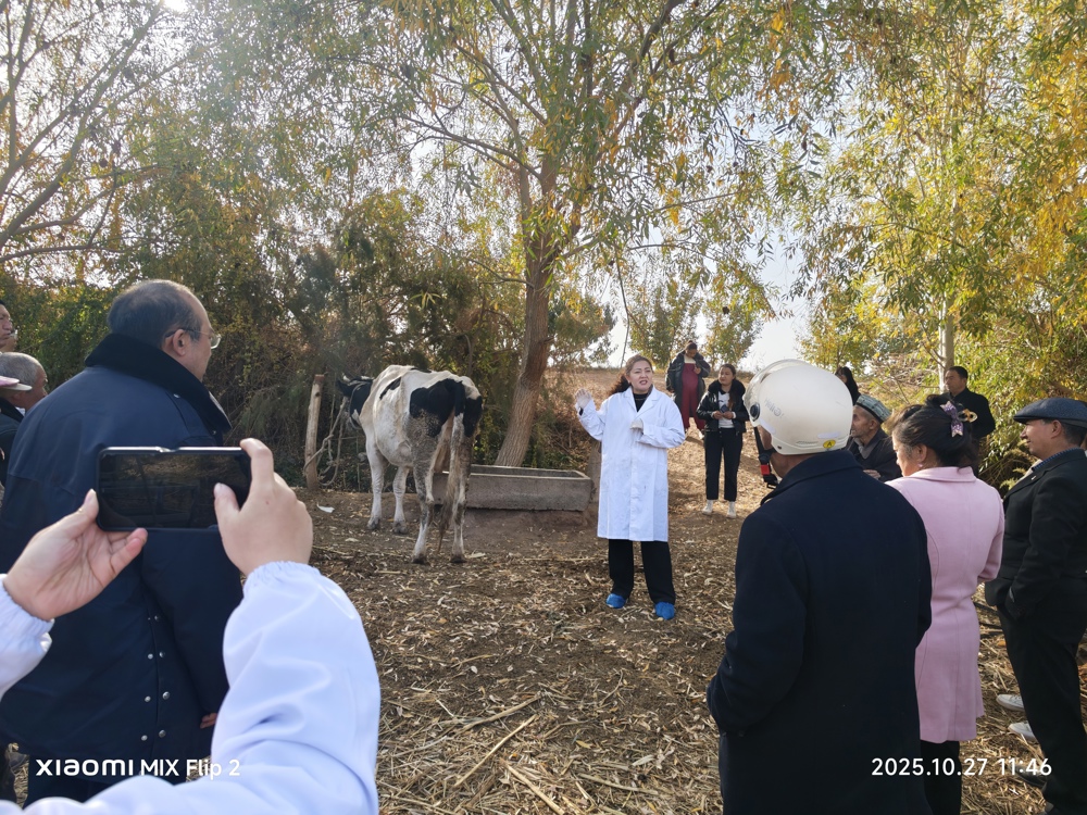 lQDPJwLlFgMDv1PNDADNEACwyvo9q83HPt4I7zYAgjvmAA_4096_3072