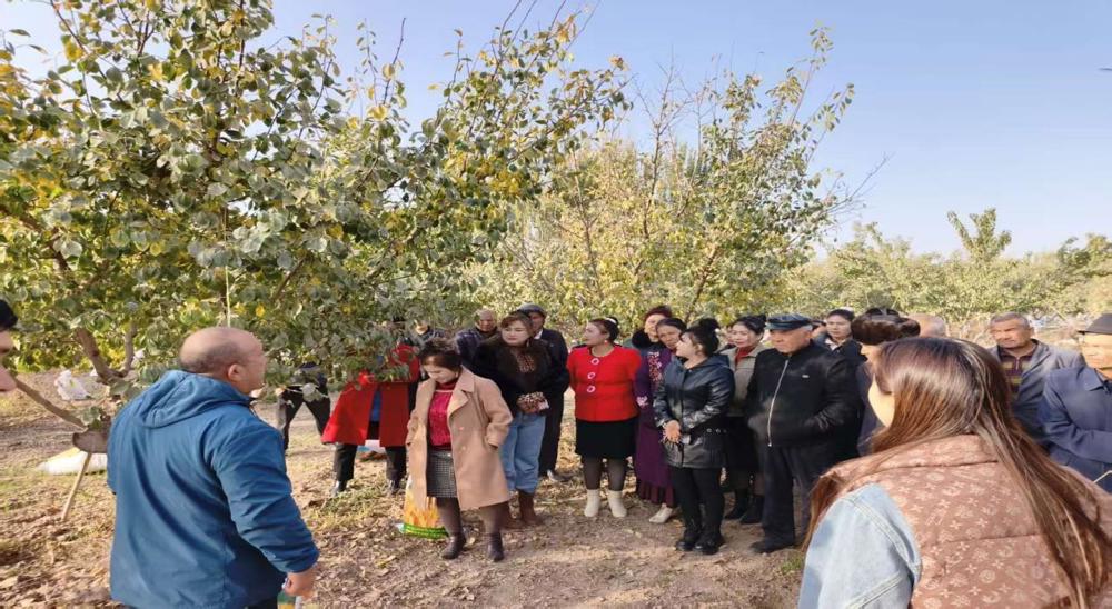 mmexport1761544286986