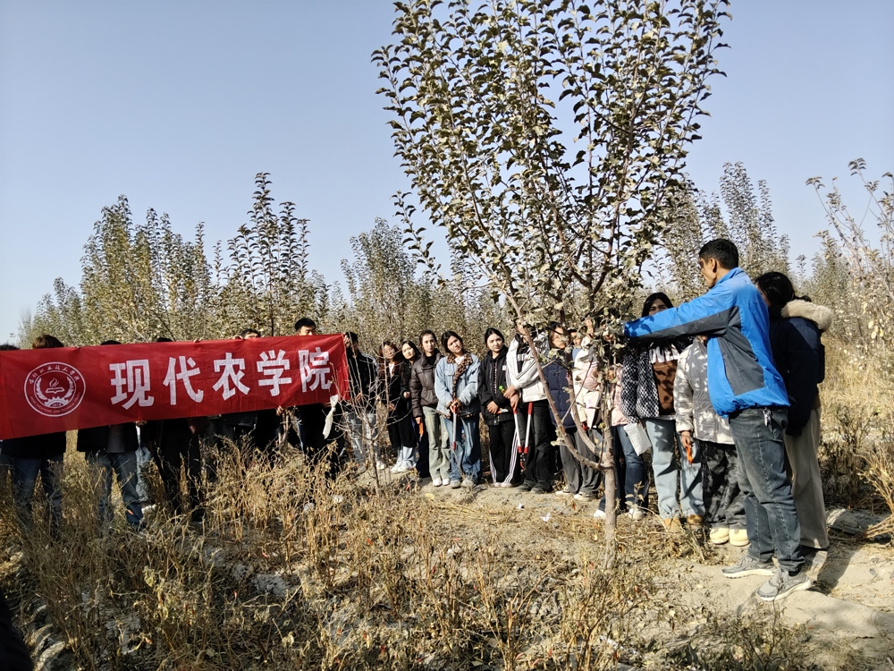 微信图片_20251121181935_2_1327