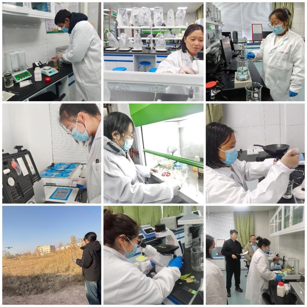 a146dd6cc3c789a2d54e5c12979bafde