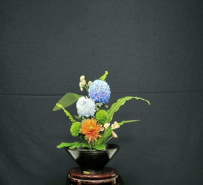 DJI_20260108_162505_103