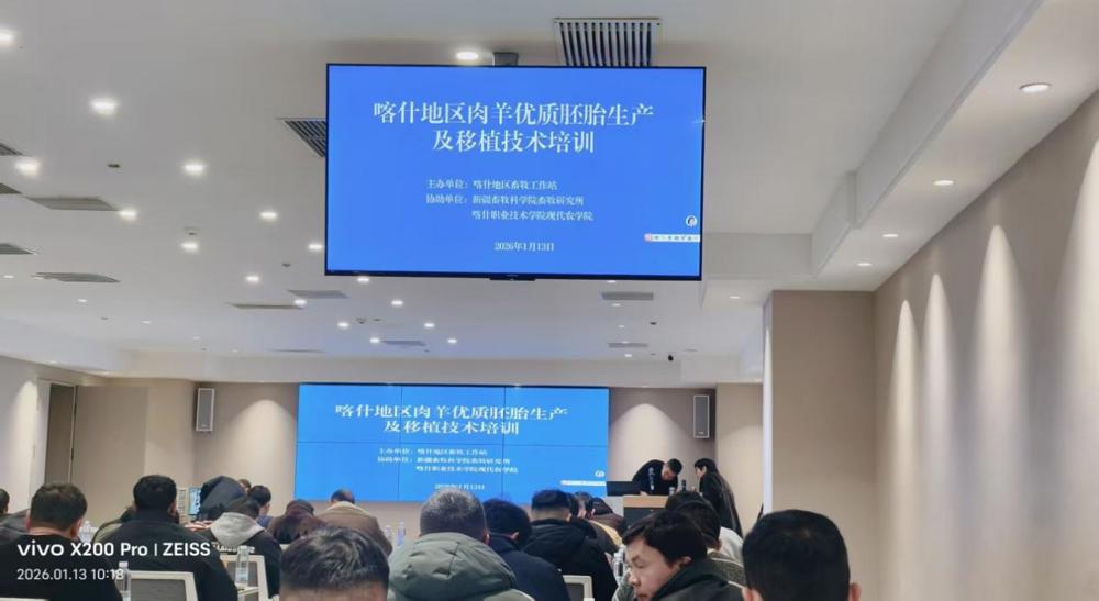 lQDPKH3S4b7BU4PNAs_NBP-wMs23-YSle6oJQdZywdcOAA_1279_719