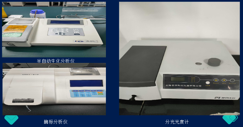 1712466344209_1FFEF27D-9312-40cf-A7C1-E3DF77988683