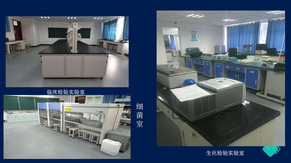 1710156737130_163F574A-805F-4343-9D17-42694EEBFC43