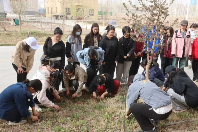 mmexport1745461384178