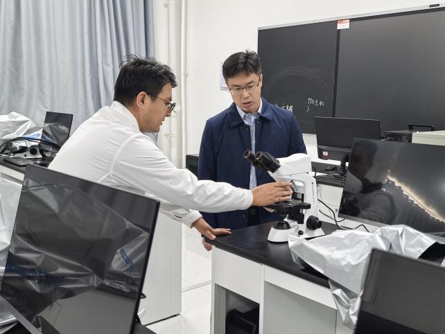 c42162764ec5bc43c0c08ad1740dea51