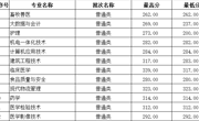 湖北省-Beat365中文官方网站2023年高职录取分数线 